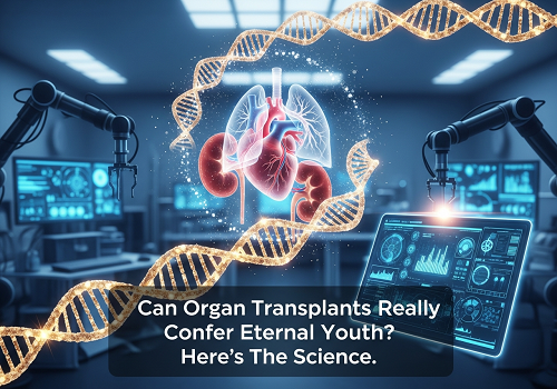 آیا پیوند اعضا واقعاً می‌تونه جوانی ابدی بده؟ علم چه می‌گه.